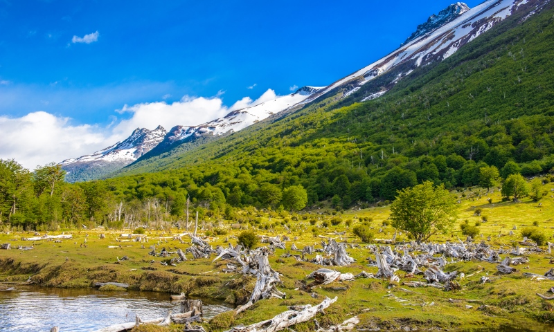 Tierra del Fuego You will find Tierra del Fuego at the southernmost tip of South America