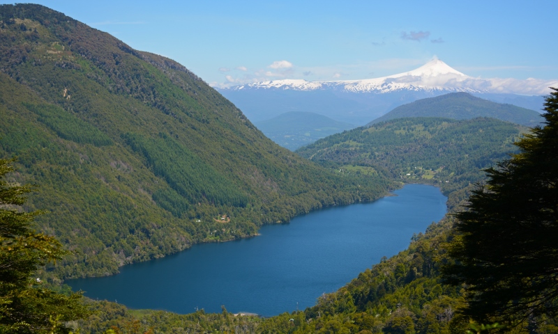 Beautiful Forest of Huerquehue National Park Go on a trek in the beautiful forest of Huerquehue National Park